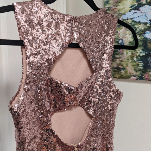 Beautiful Rose Gold Sequins Sparkly Dress - Picture 12 of 16